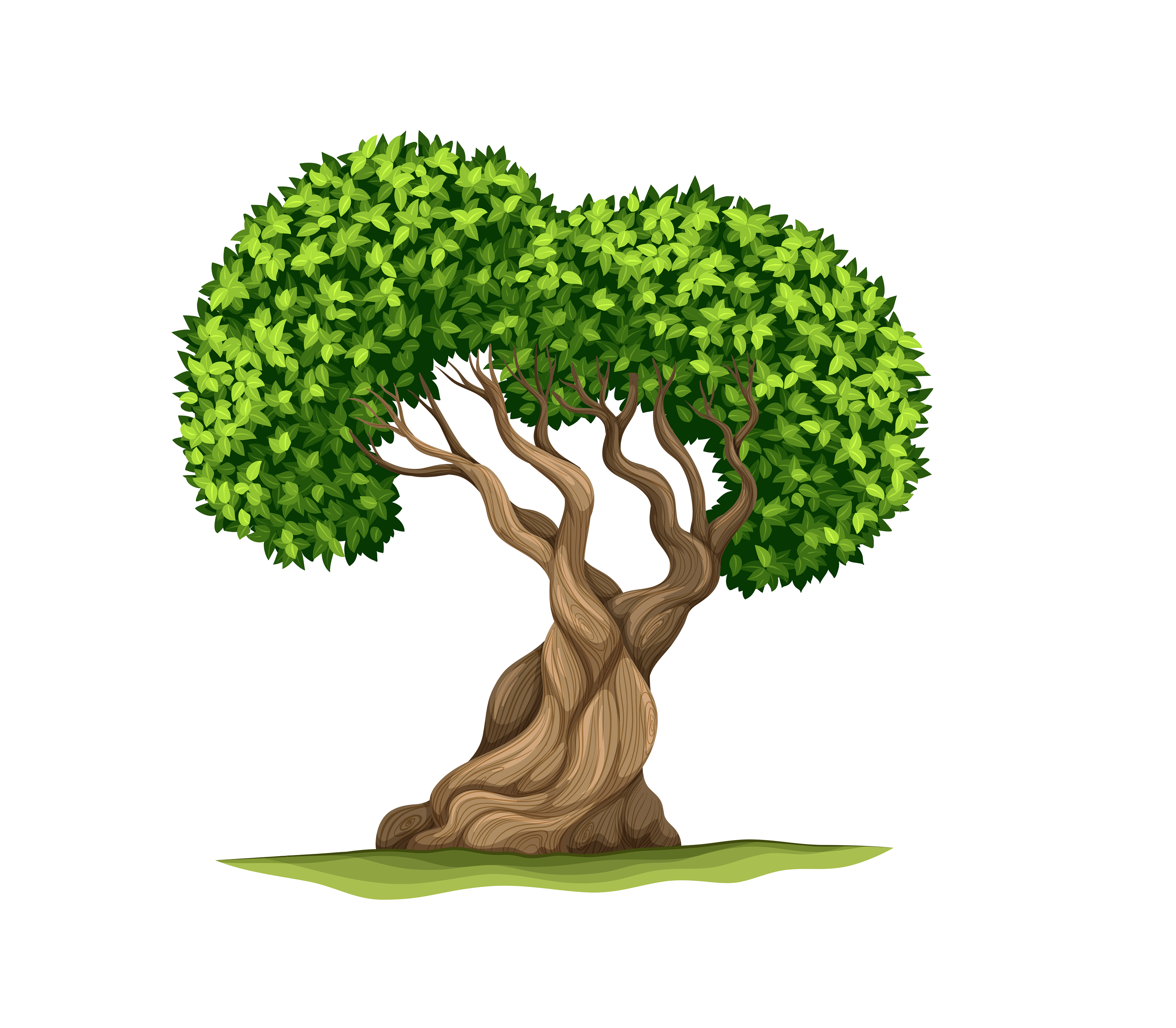 Membership Tree
