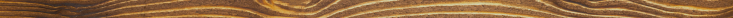 RWYCA Logo