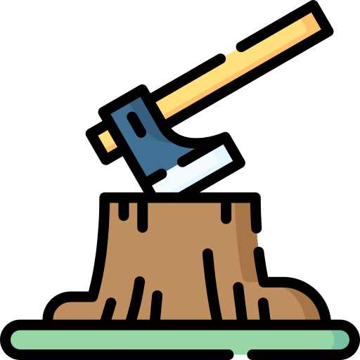 function-icon